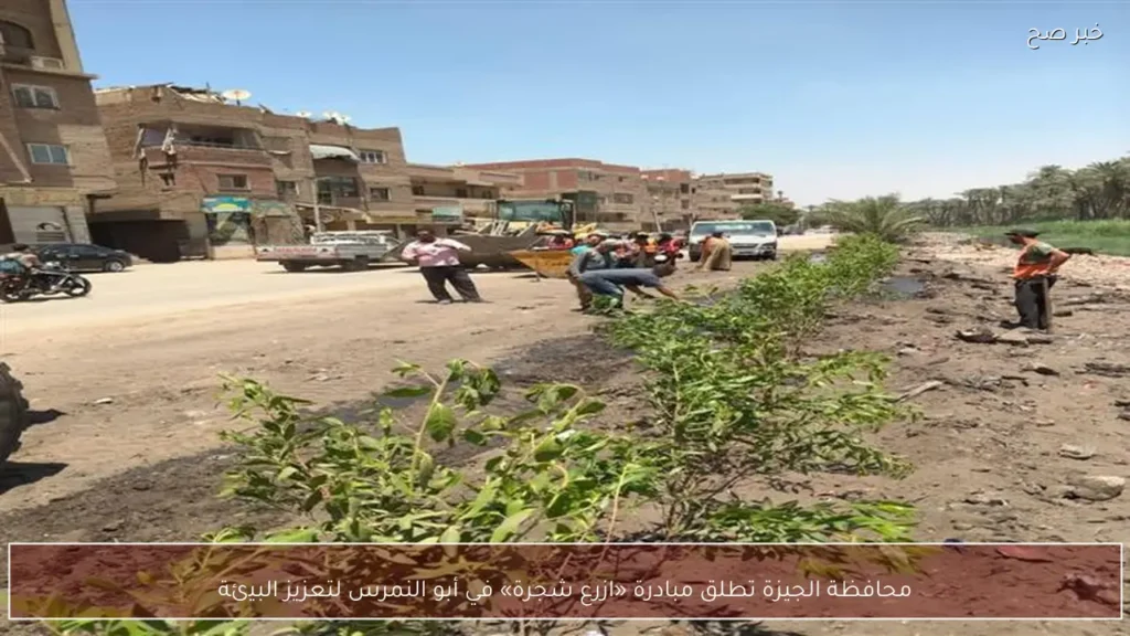 محافظة الجيزة تطلق مبادرة «ازرع شجرة» في أبو النمرس لتعزيز البيئة