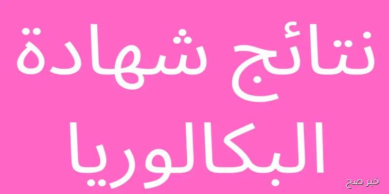 “اعرف درجاتك”.. رابط نتائج بكالوريا 2025 حسب الاسم ورقم الاكتتاب عبر moed.gov.sy