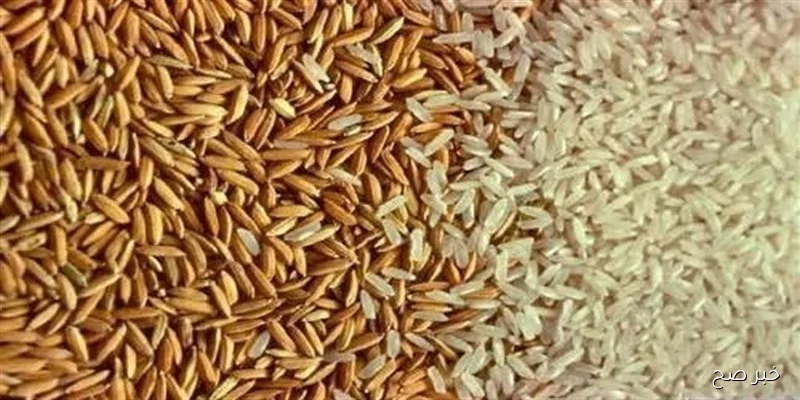 “إستقرار تام” .. سعر طن الأرز الشعير اليوم الأربعاء 10\9\2025 بجميع الأنواع في السوق المحلي