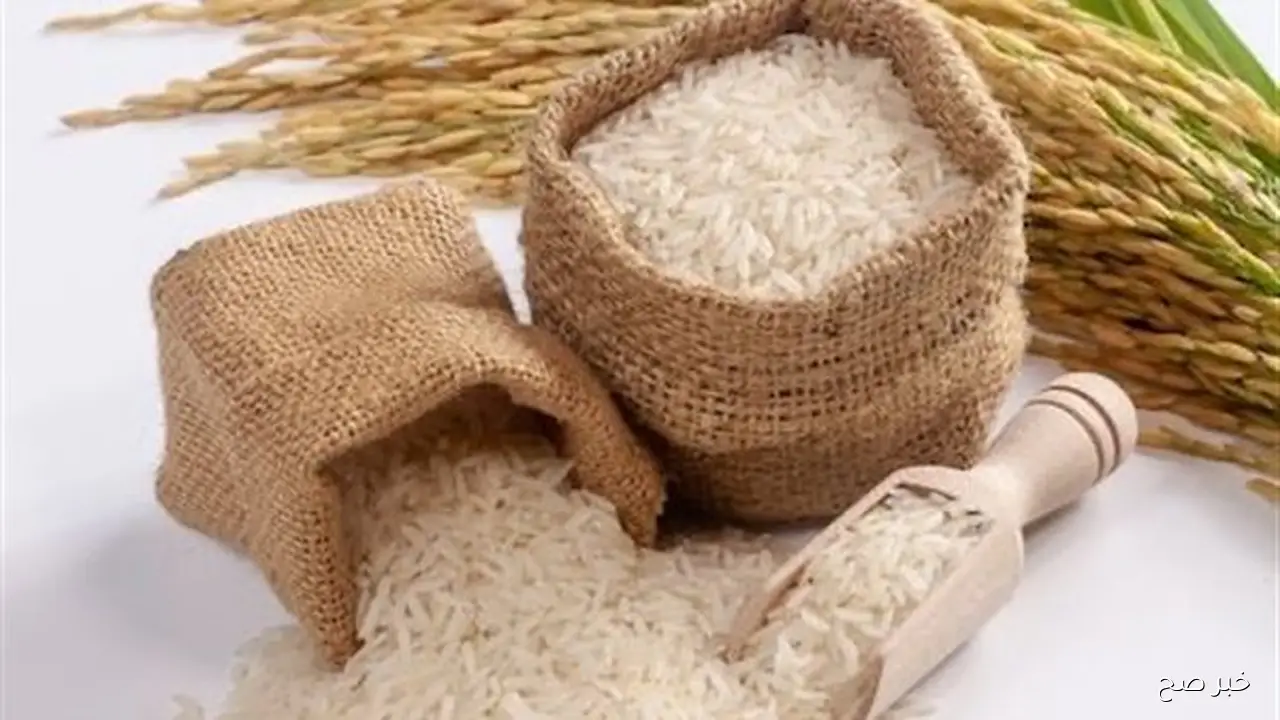 سعر الأرز الشعير الآن 2025 في الأسواق المحلية ومضارب الأرز للمستهلك في مصر