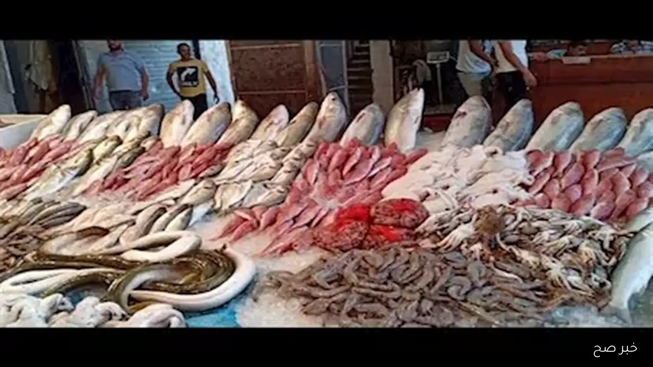 اسعار السمك اليوم الاثنين 15-9-2025 بسوق العبور وحلقات الاسماك ..البلطي بـ 81 جنيها للكيلو