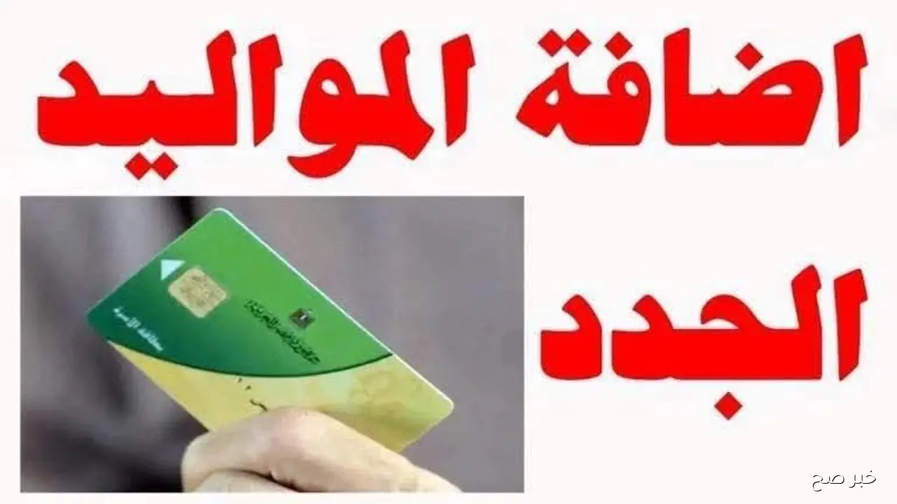 موعد وخطوات إضافة مواليد وزارة التموين.. كيف تُحدث بطاقتك التموينية إلكترونيًا؟