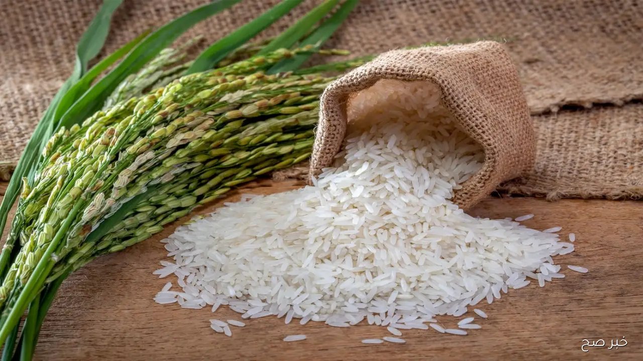 سعر طن الأرز اليوم الإثنين 29-9-2025 عند التجار وأسعار السلع الغذائية في الاسواق المحلية