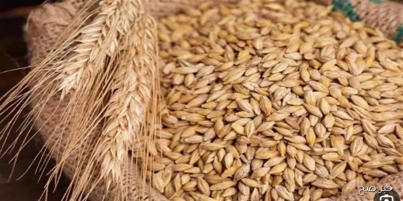 “لجميع الأنواع ” .. إستقرار اسعار الارز الشعير اليوم الأربعاء 3\9\2025 في كافة الأسواق المصرية
