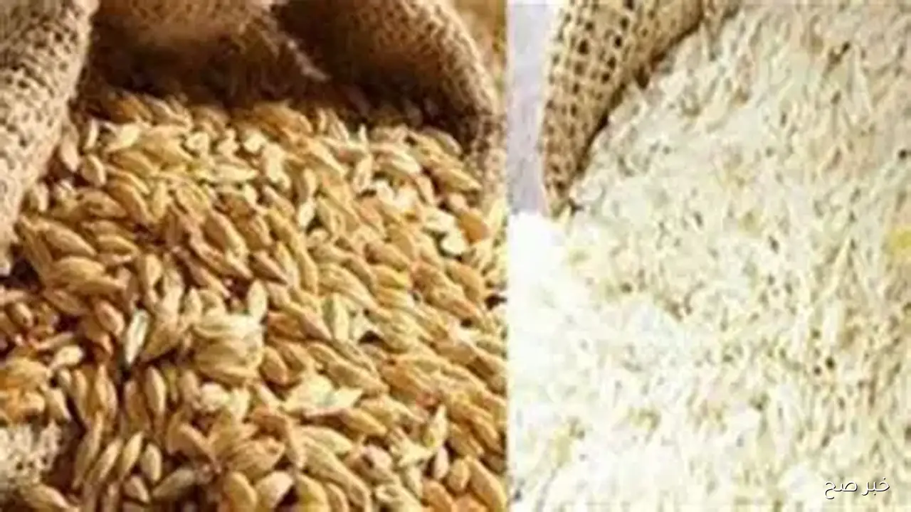وصل لكام؟.. سعر طن الأرز الشعير اليوم الخميس 25 سبتمبر 2025 للمستهلك في الاسواق المحلية
