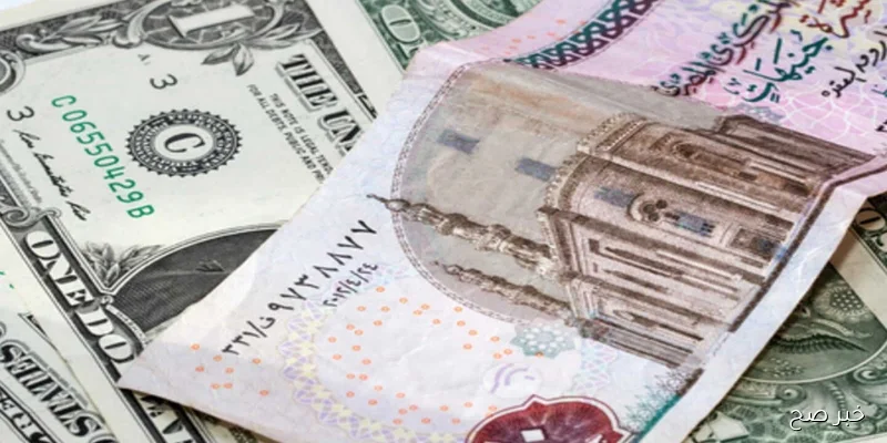 سعر الدولار اليوم مقابل الجنيه المصري الاحد 7 سبتمبر 2025 بالبنوك وفق اخر تحديث