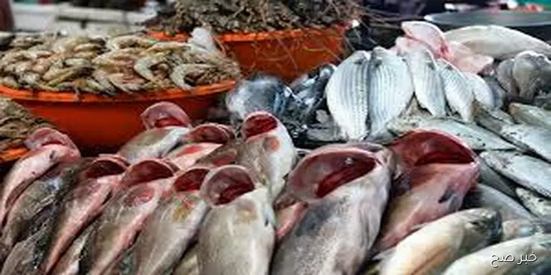 قائمة اسعار السمك اليوم الخميس 4 سبتمبر 2025 باسواق الجمله وحلقات الاسماك