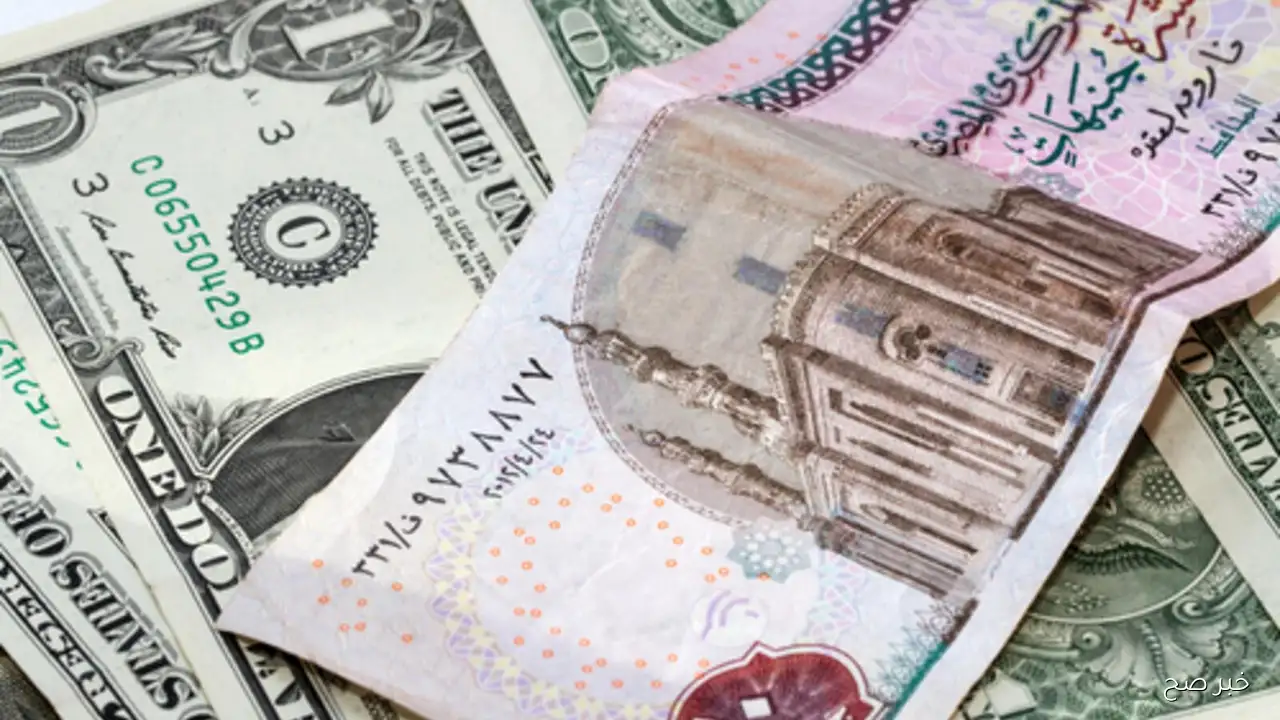 سعر الدولار مقابل الجنيه المصري اليوم الأحد 14 سبتمبر 2025 في البنوك والسوق السوداء