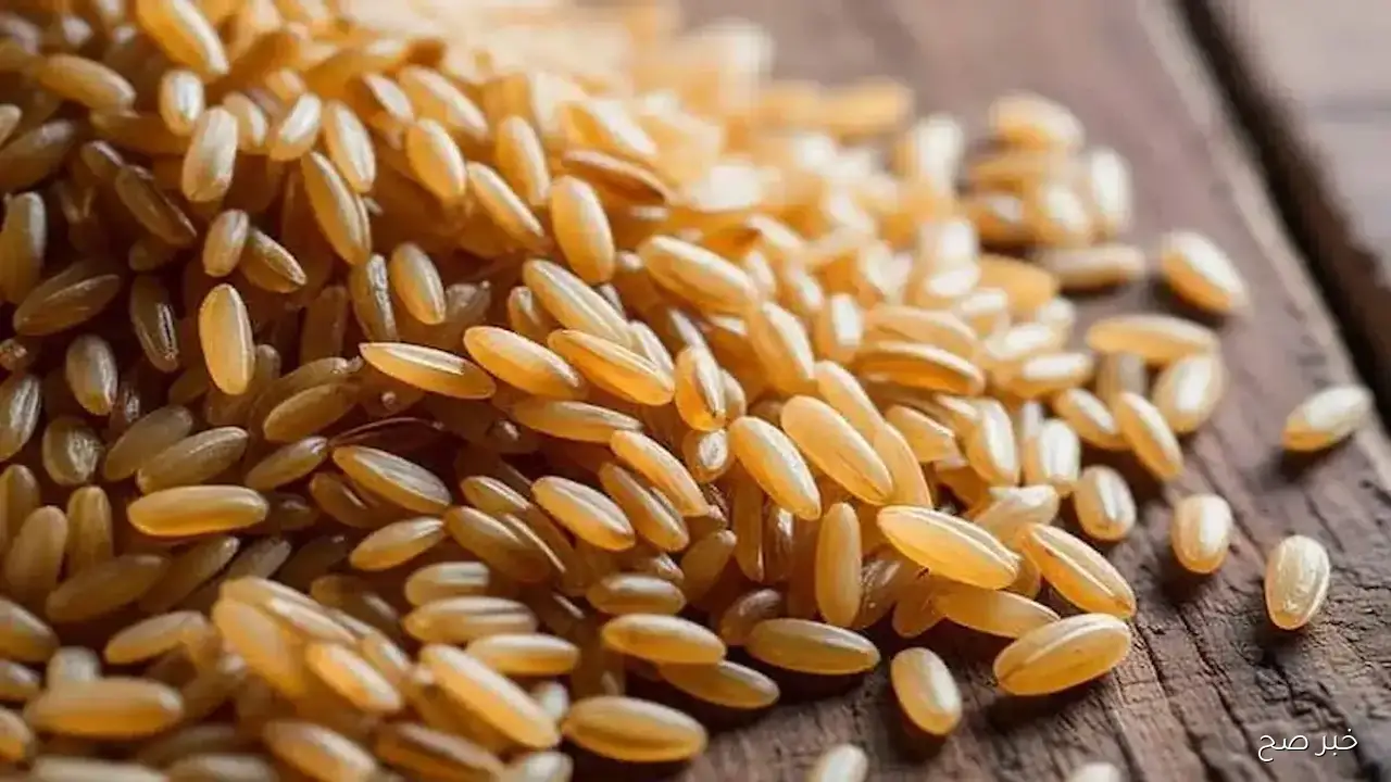 سعر طن الأرز الشعير اليوم الجمعة 19/9/2025 بالأسواق المحلية وتوقعات بالراجع مع وفرة المعروض