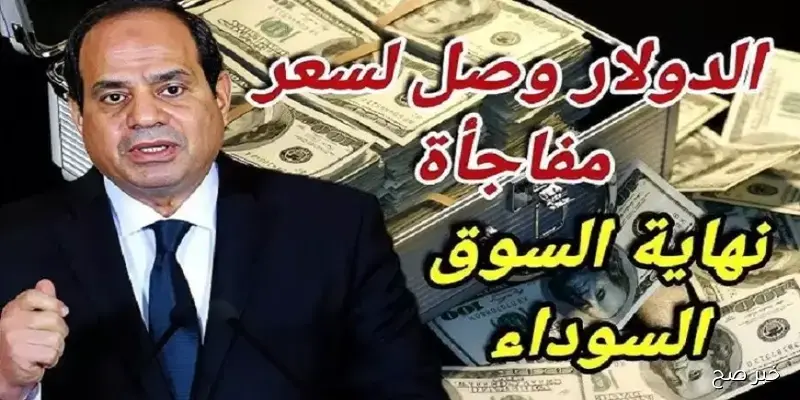 الأخضر بكام؟.. سعر الدولار في السوق السوداء اليوم الخميس 11 سبتمبر 2025 مقابل الجنيه