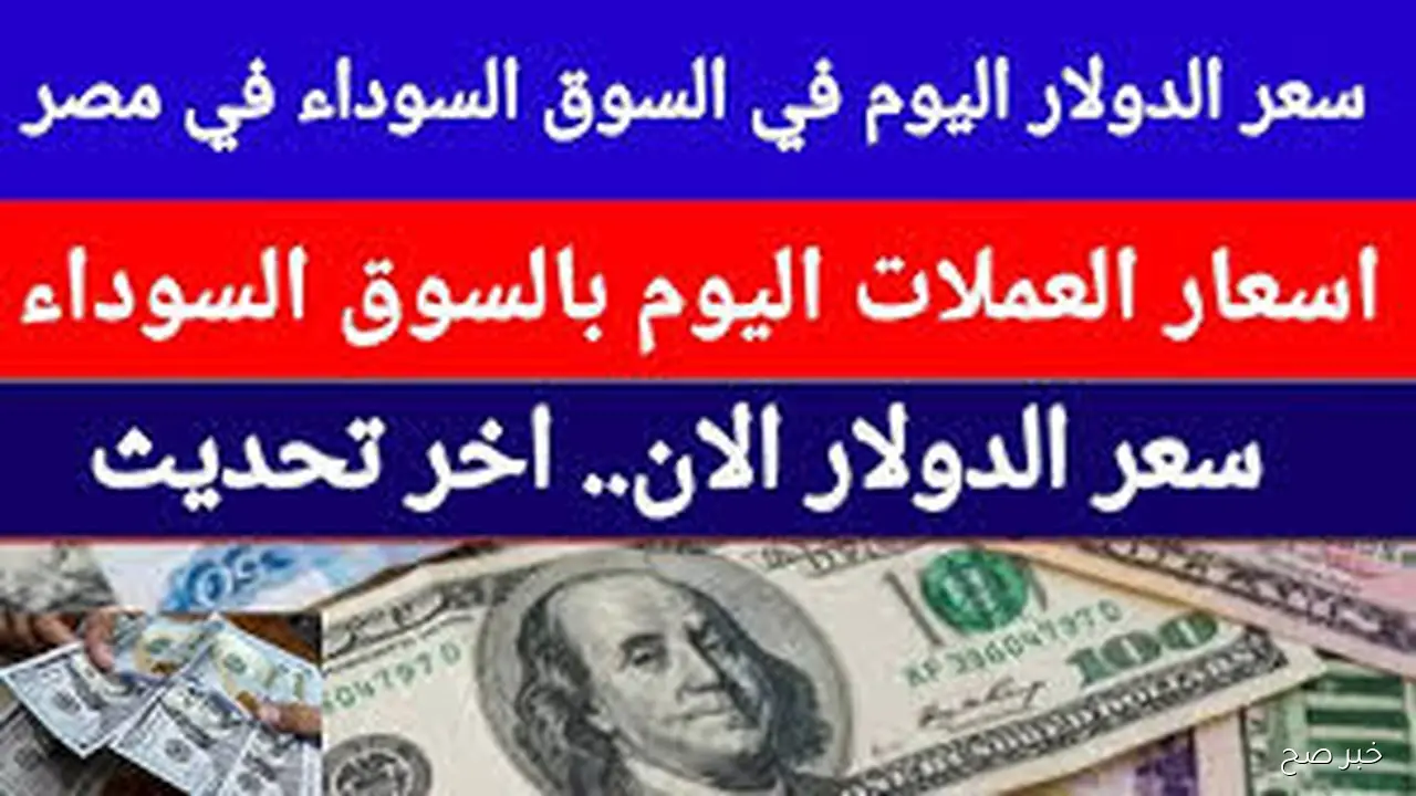 “دولار، ويورو، وريال”.. أسعار العملات في السوق السوداء اليوم في مصر مقابل الجنيه بنهاية التعاملات