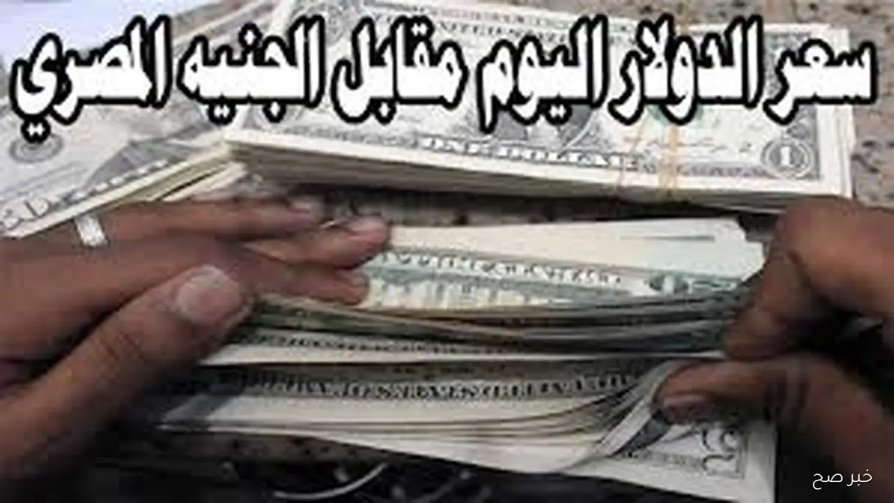 سعر الدولار اليوم مقابل الجنيه المصري في السوق السوداء الجمعة 12 سبتمبر 2025 في بداية التعاملات