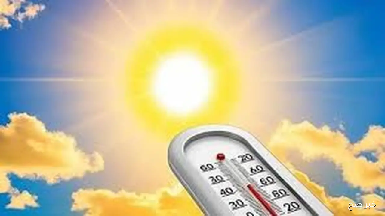 رابط التسجيل في حساب المواطن عن طريق الجوال 1447 برقم الهوية عبر portal.ca.gov.sa