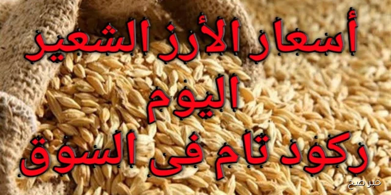 سعر الأرز الشعير اليوم الاثنين 1 سبتمبر 2025 في الاسواق المصرية للمستهلكين والتجار