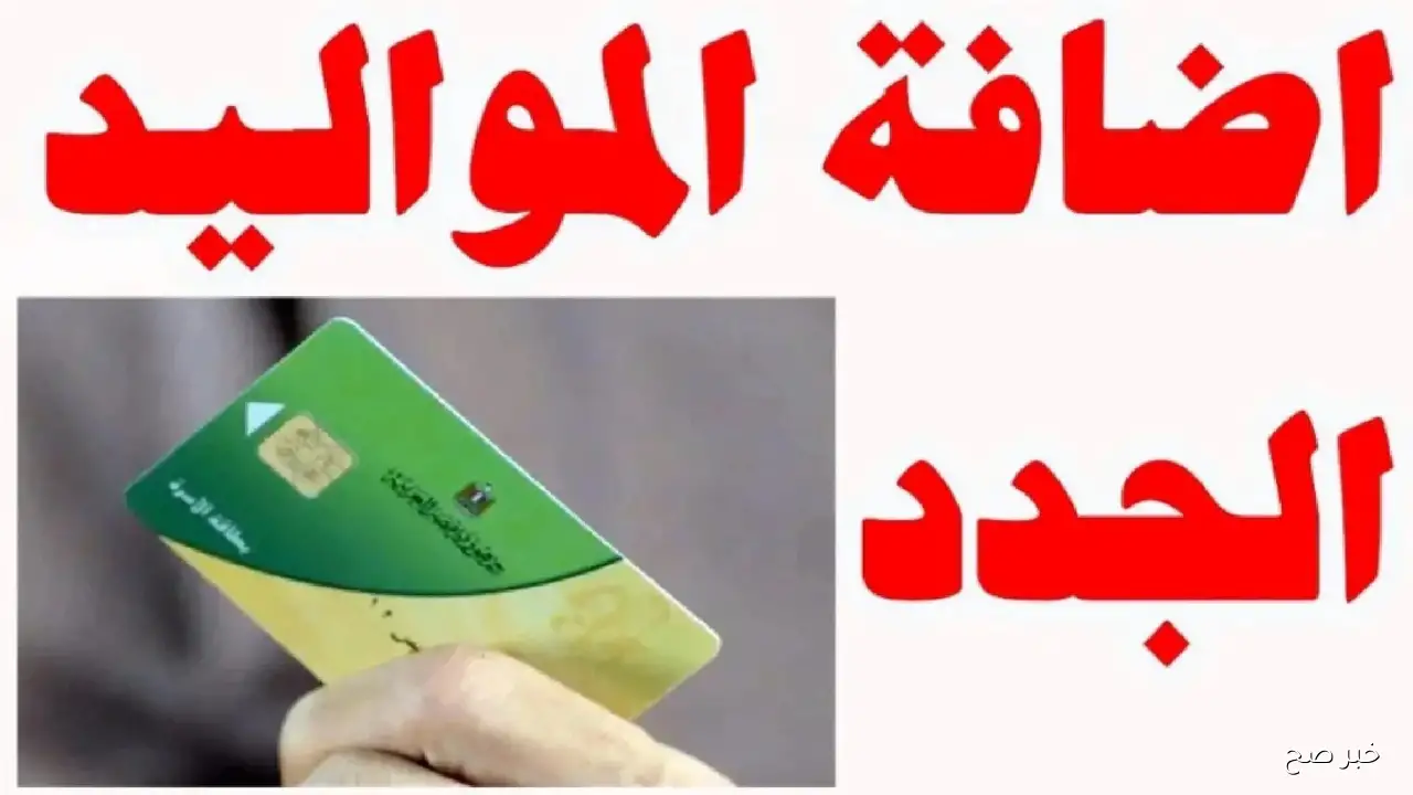 رابط وخطوات اضافة المواليد لبطاقة التموين 2025 عبر بوابة مصر الرقمية digital.gov.eg
