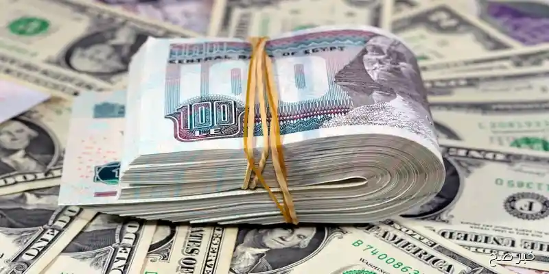 سعر الدولار مقابل الجنيه المصري اليوم الجمعة 5 سبتمبر 2025 في البنوك لحظة بلحظة