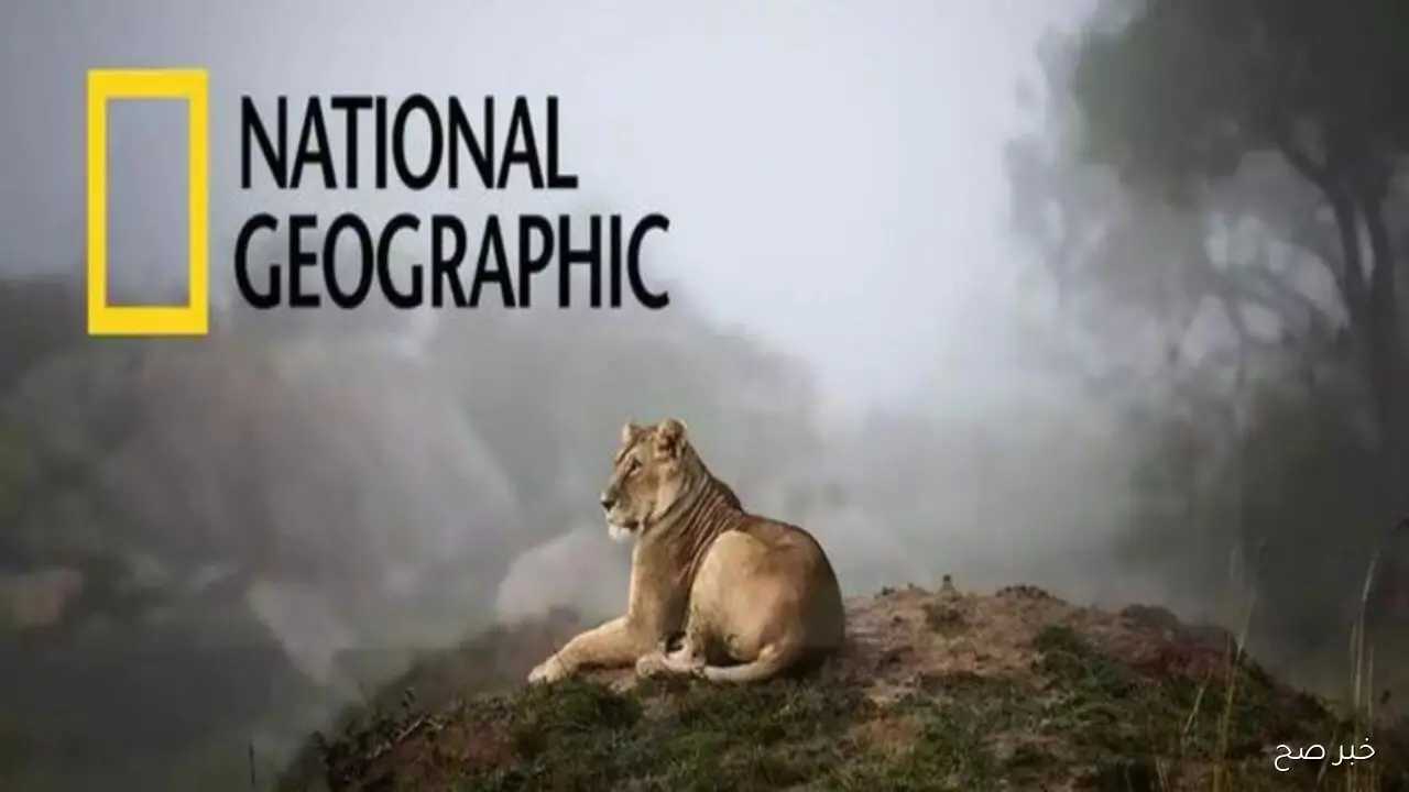 تردد قناه ناشيونال جيوغرافيك ابوظبي 2025 National Geographic على جميع الاقمار