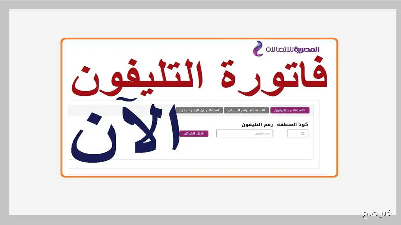 رابط الاستعلام فاتورة التليفون الأرضي أكتوبر 2025 عبر موقع الشركة المصرية للاتصالات web.te.eg