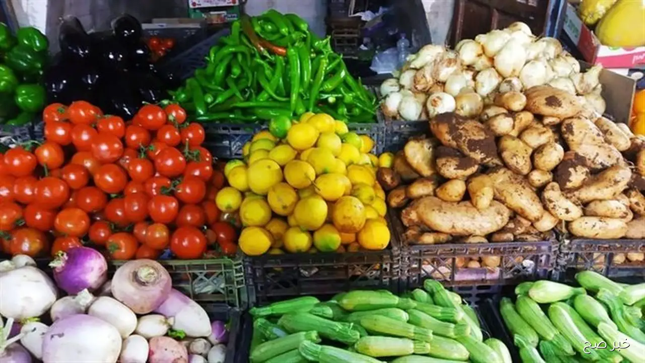 جدول اسعار الخضروات اليوم الثلاثاء 7 اكتوبر 2025 في سوق العبور للجملة.. الطماطم تتراوح بين 7 لـ 21 جنيها