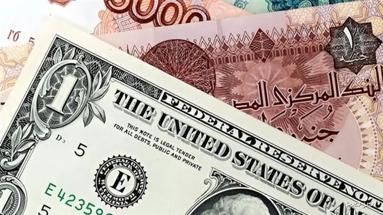 لحظة بلحظة.. سعر الدولار اليوم مقابل الجنيه المصري اليوم 20 اكتوبر 2025 بالبنوك