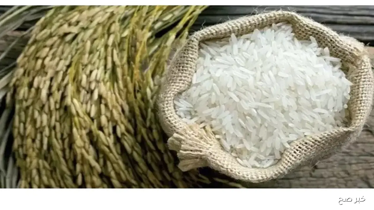 سعر الارز الشعير اليوم الاحد 19 أكتوبر 2025 وأسعار السلع الأساسية في السوق المصري