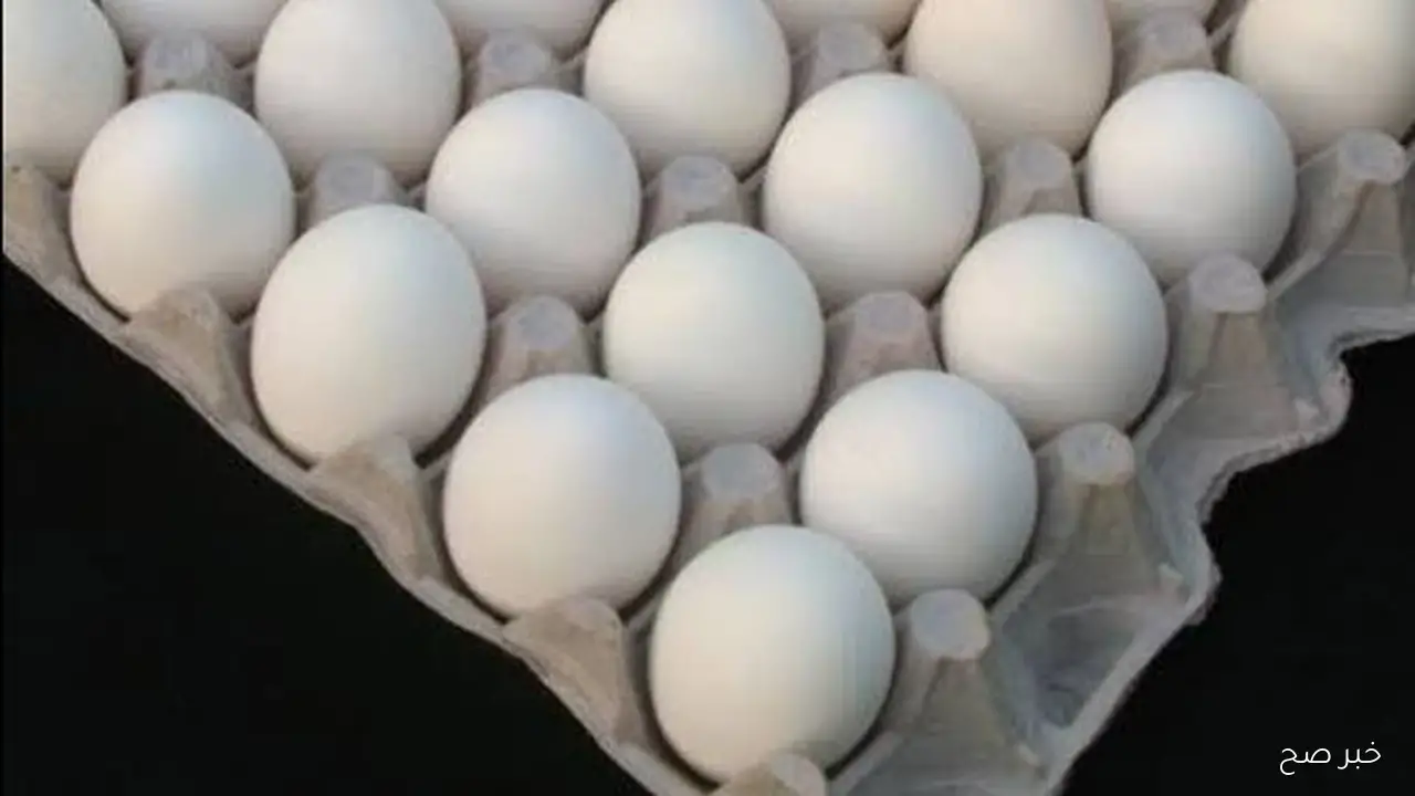 سعر كرتونة البيض اليوم للمستهلك الجمعة 10/ 10/ 2025 في جميع الأسواق المحلية
