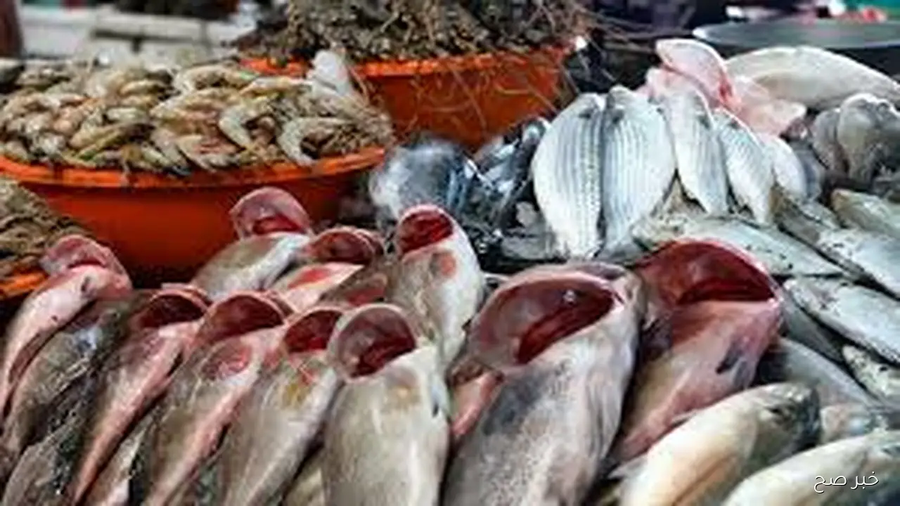 قائمة اسعار السمك اليوم الاربعاء 22 اكتوبر 2025 بشوادر وحلقات الاسماك للجمله والقطاعي