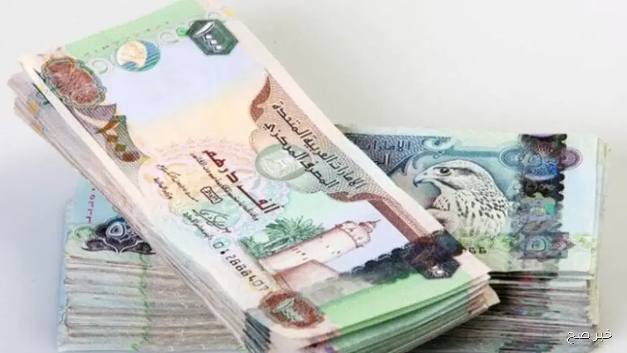 استقرار سعر الدرهم الاماراتي اليوم مقابل الجنيه المصري الاربعاء 15 2025 وفق آخر تحديث بمنتصف التعاملات