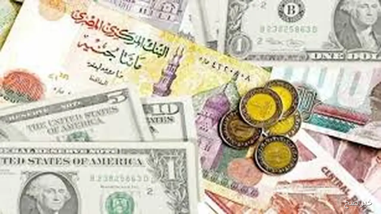 “العربية والأجنبية”.. أسعار العملات في السوق السوداء اليوم الجمعة 24 اكتوبر 2025 مقابل الجنيه والبنك المركزي