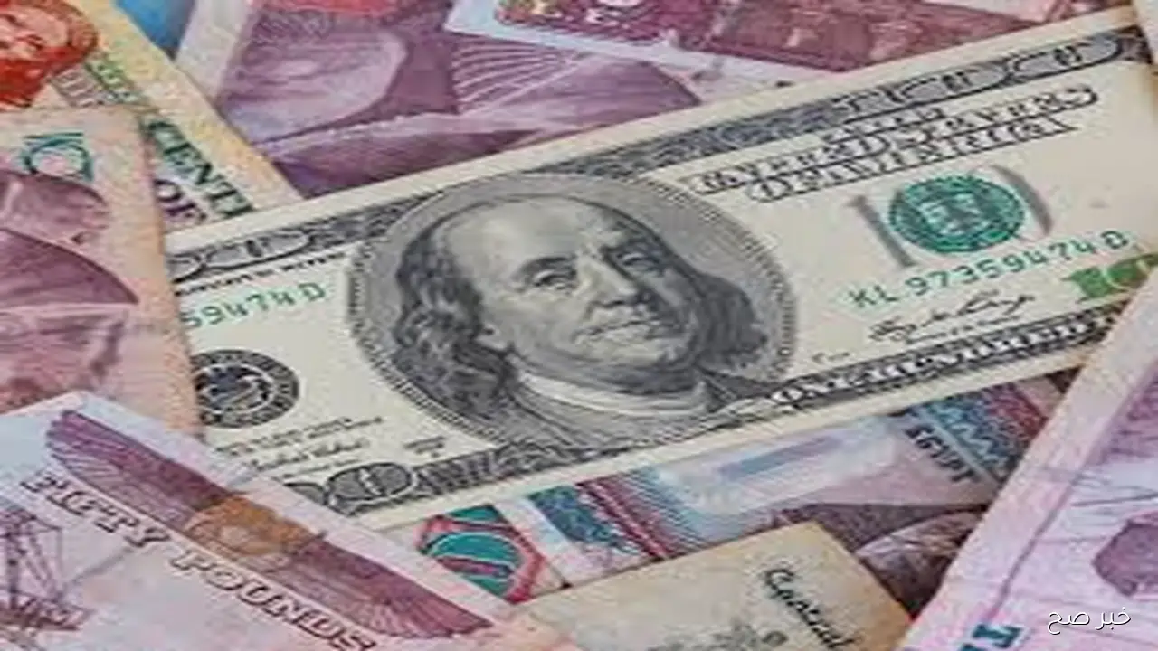 اعلي سعر للدولار في السوق السوداء اليوم الاحد 26 اكتوبر 2025 مقابل الجنيه المصري.. تحديث لحظي