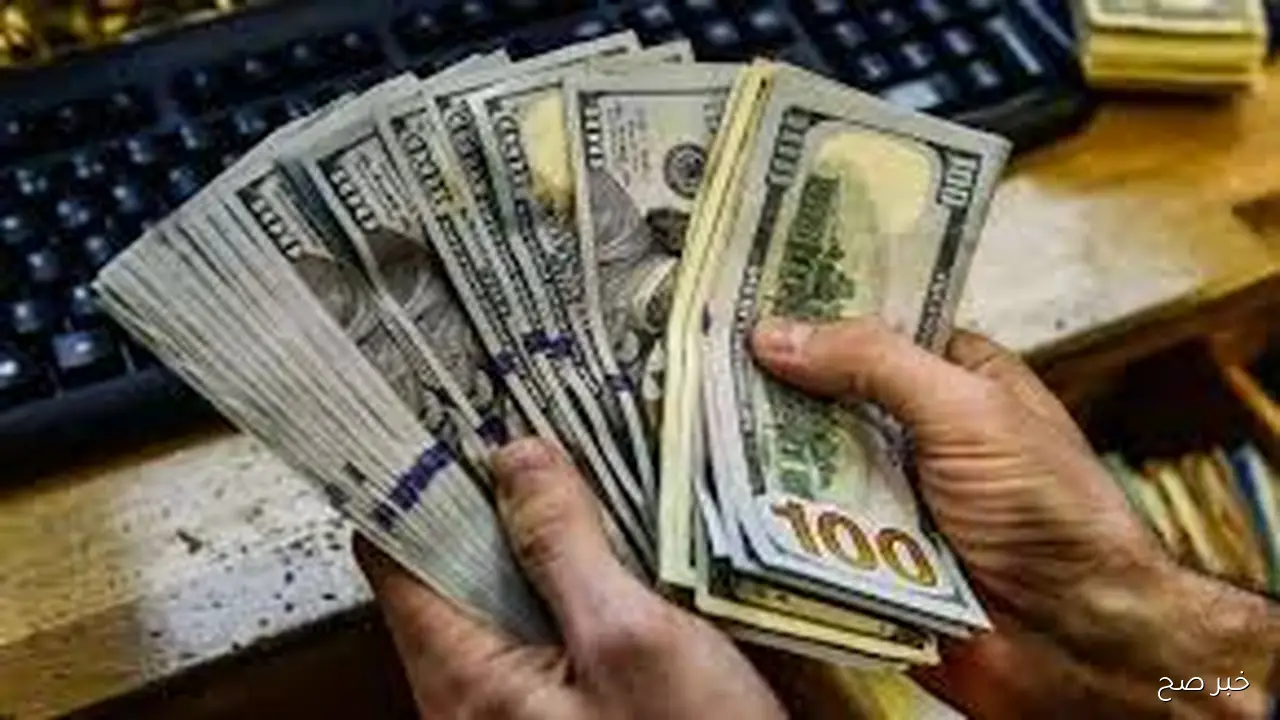 اعلى سعر للدولار اليوم في السوق السوداء الثلاثاء 14 اكتوبر 2025 مقابل الجنيه المصري