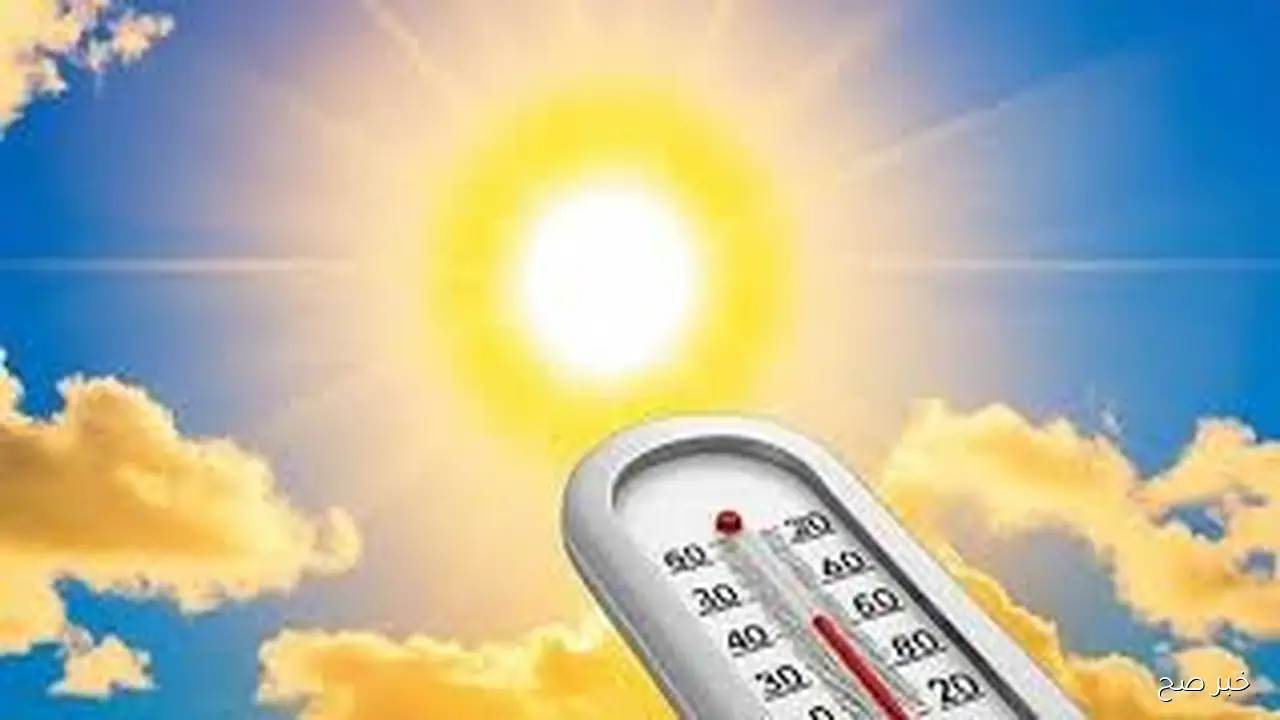 عريض ورفيع بكام؟.. سعر طن الارز الشعير اليوم الاثنين 6 اكتوبر 2025 فى كافة الاسواق المصرية