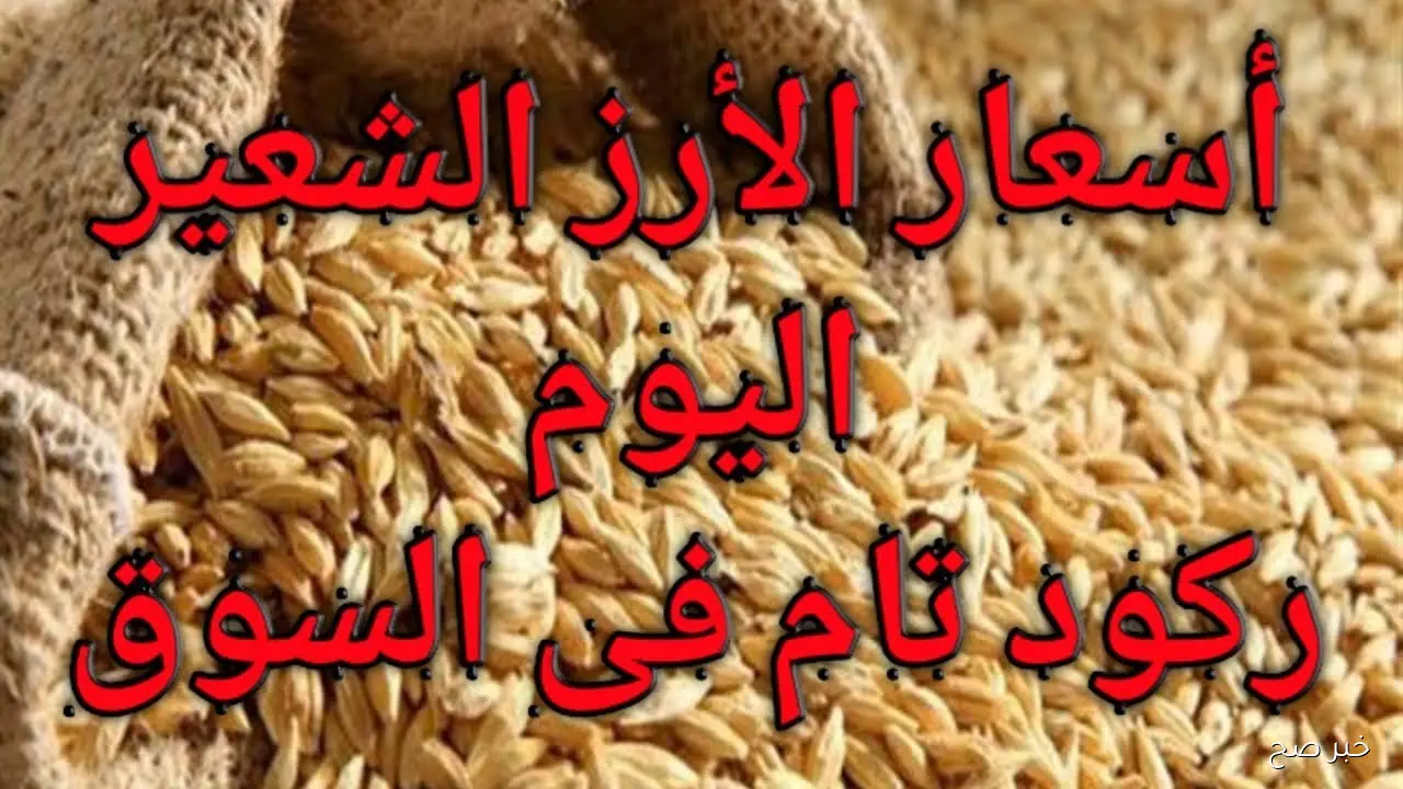 سعر الأرز الشعير اليوم الاثنين 27 أكتوبر 2025 للمستهلكين والتجار في مصر