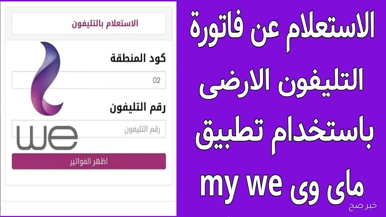 رابط الاستعلام فاتورة التليفون الأرضي لشهر نوفمبر 2025 إلكترونيا عبر موقع الشركة المصرية للاتصالات