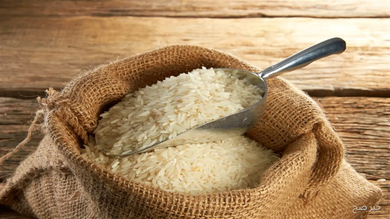 سعر طن الأرز الشعير اليوم الإثنين 20-10-2025 وأسعار السلع الأساسية في الأسواق المصرية