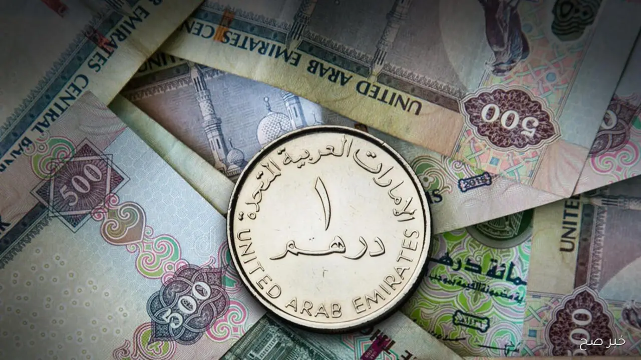 سعر الدرهم الاماراتي اليوم الاربعاء 29 اكتوبر 2025 مقابل الجنيه المصري في سوق الصرف المحلي