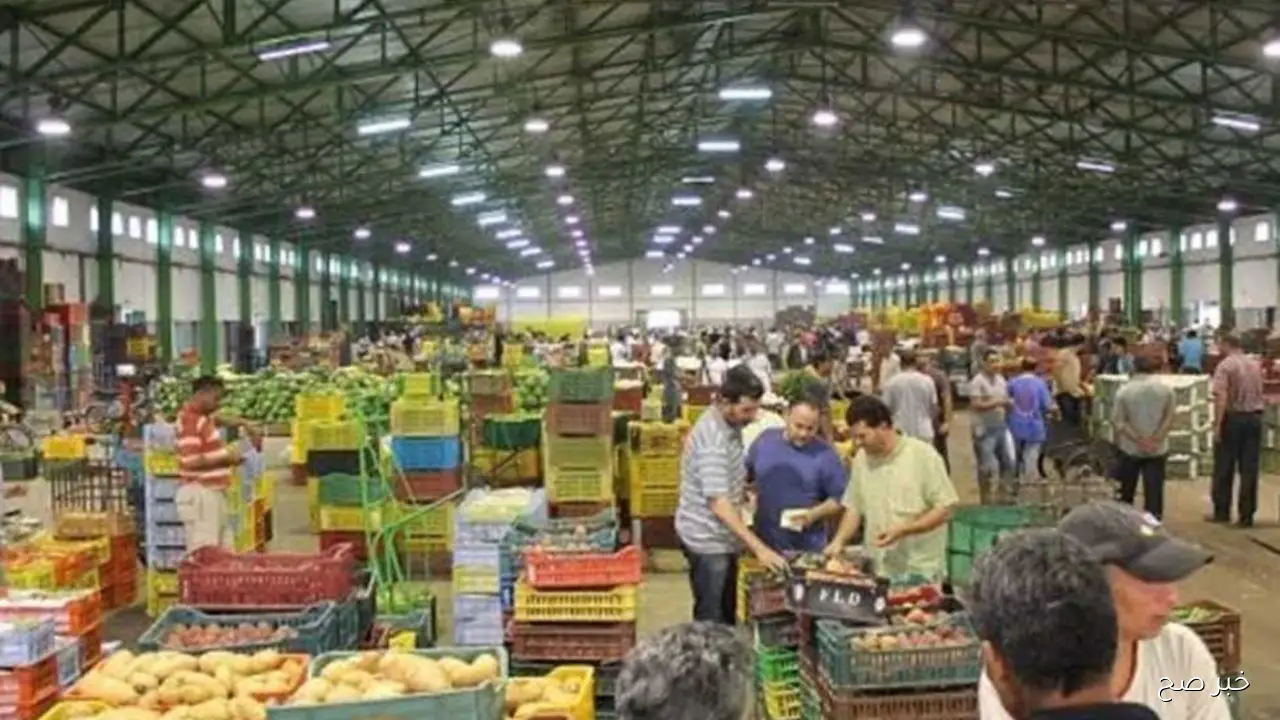 أسعار الخضروات في سوق العبور اليوم الخميس 30-10-2025.. تحركات محدودة في أسعار الطماطم والبطاطس
