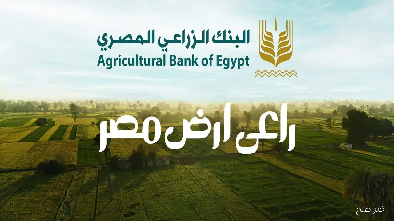 شروط وظائف البنك الزراعى المصرى 2025.. احصل على فرصتك للعمل في جميع المحافظات