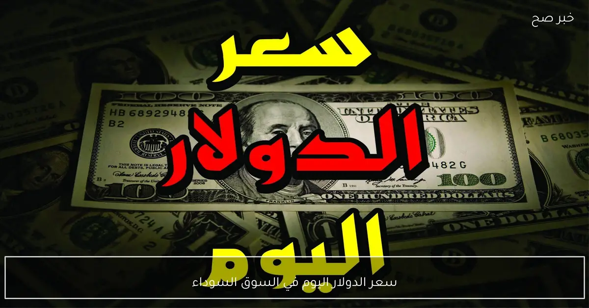 اشتعال سعر الدولار اليوم في السوق السوداء مقابل الجنية المصري.. 100 دولار كم جنية؟