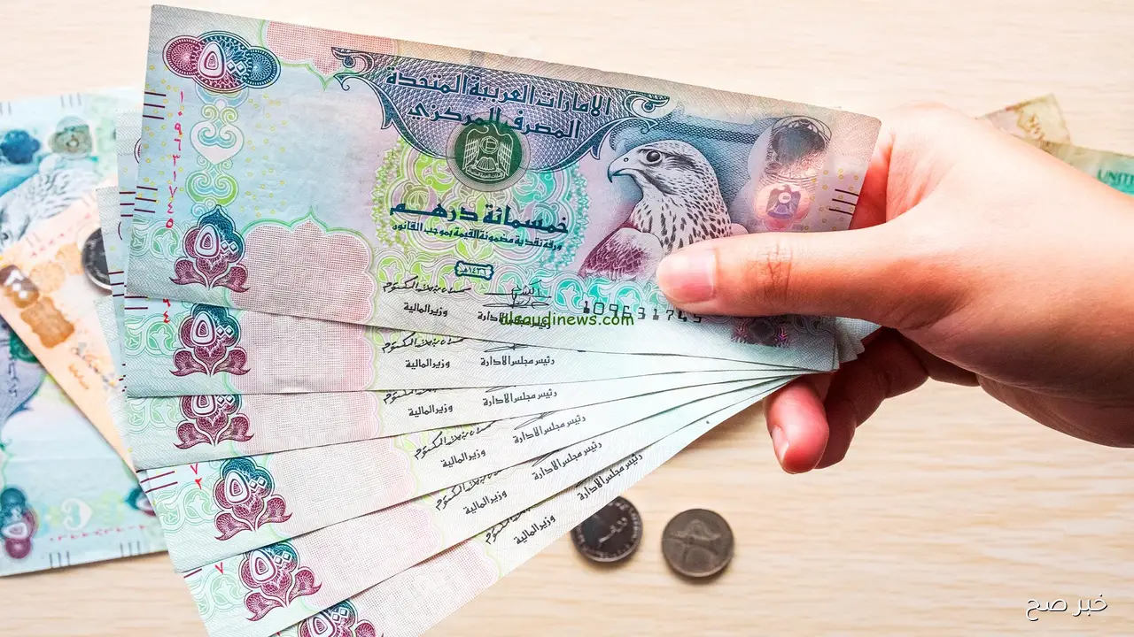 سعر الدرهم الاماراتي اليوم الاحد 9-11-2025 في البنوك والسوق السوداء.. أعلى سعر سجل 12.89 جنيهاً