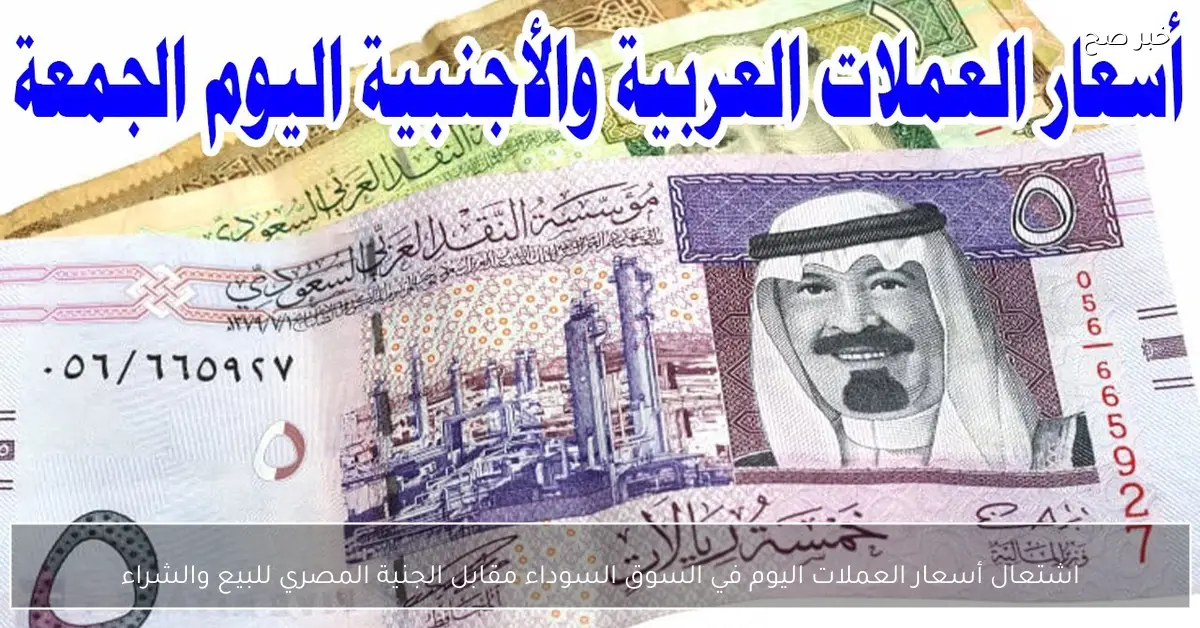 اشتعال أسعار العملات اليوم في السوق السوداء مقابل الجنية المصري للبيع والشراء