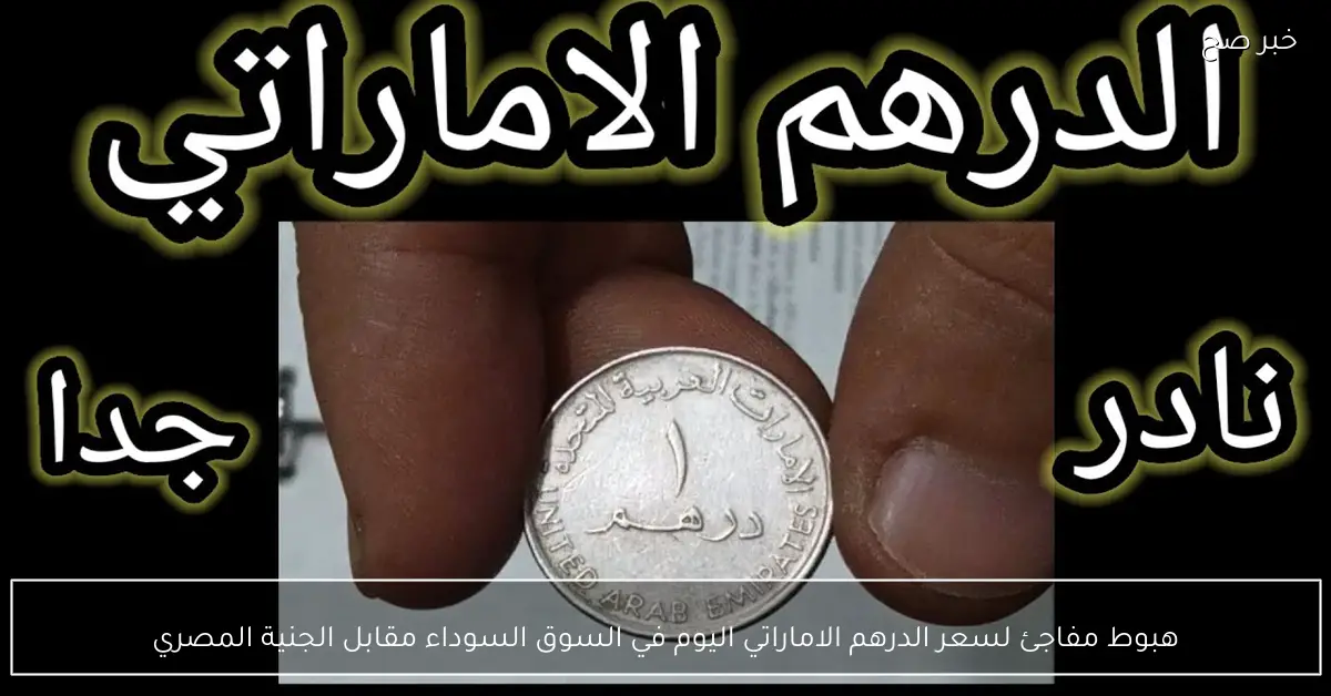 هبوط مفاجئ لسعر الدرهم الاماراتي اليوم في السوق السوداء مقابل الجنية المصري
