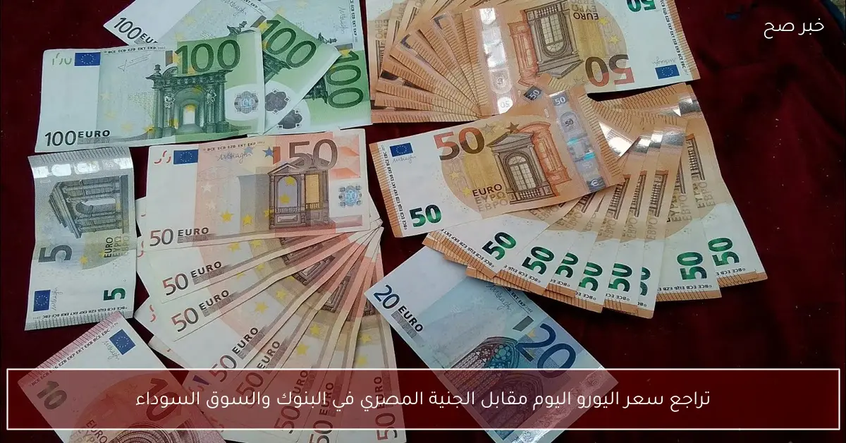 تراجع سعر اليورو اليوم مقابل الجنية المصري في البنوك والسوق السوداء