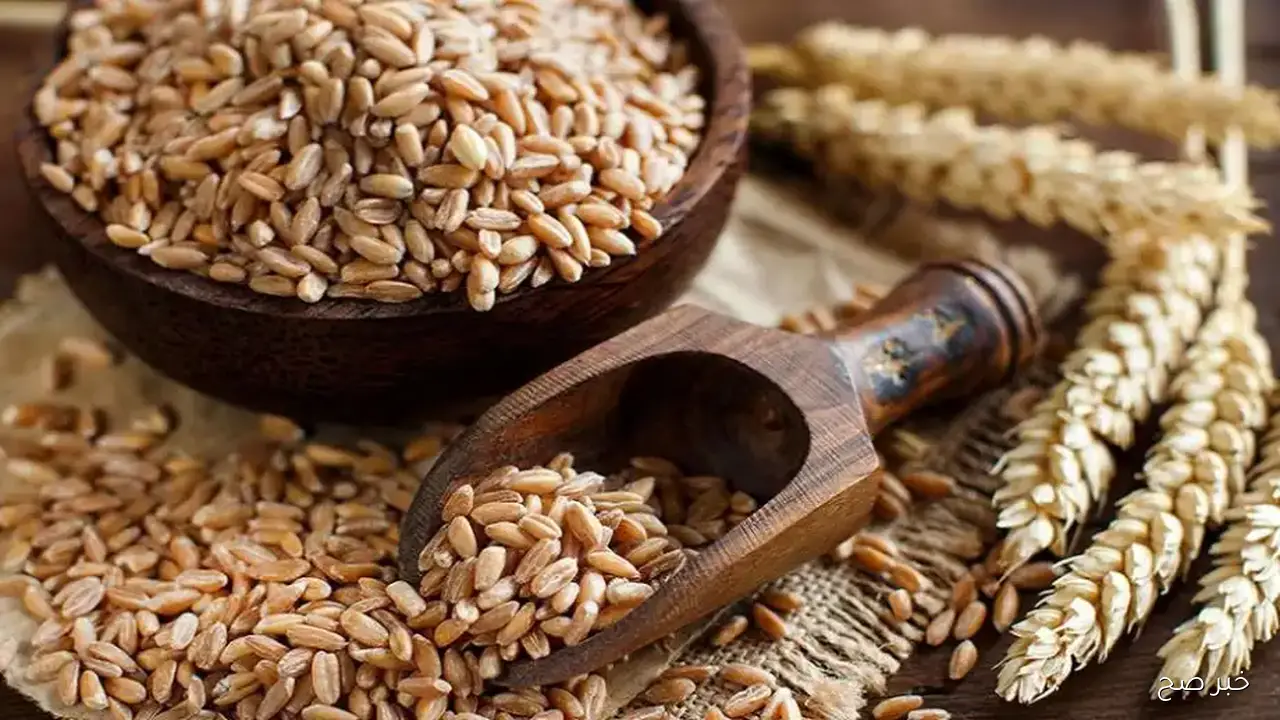 مفاجأة السوق!! .. أسعار الأرز الشعير اليوم الاحد 16 نوفمبر 2025 في الاسواق المحلية