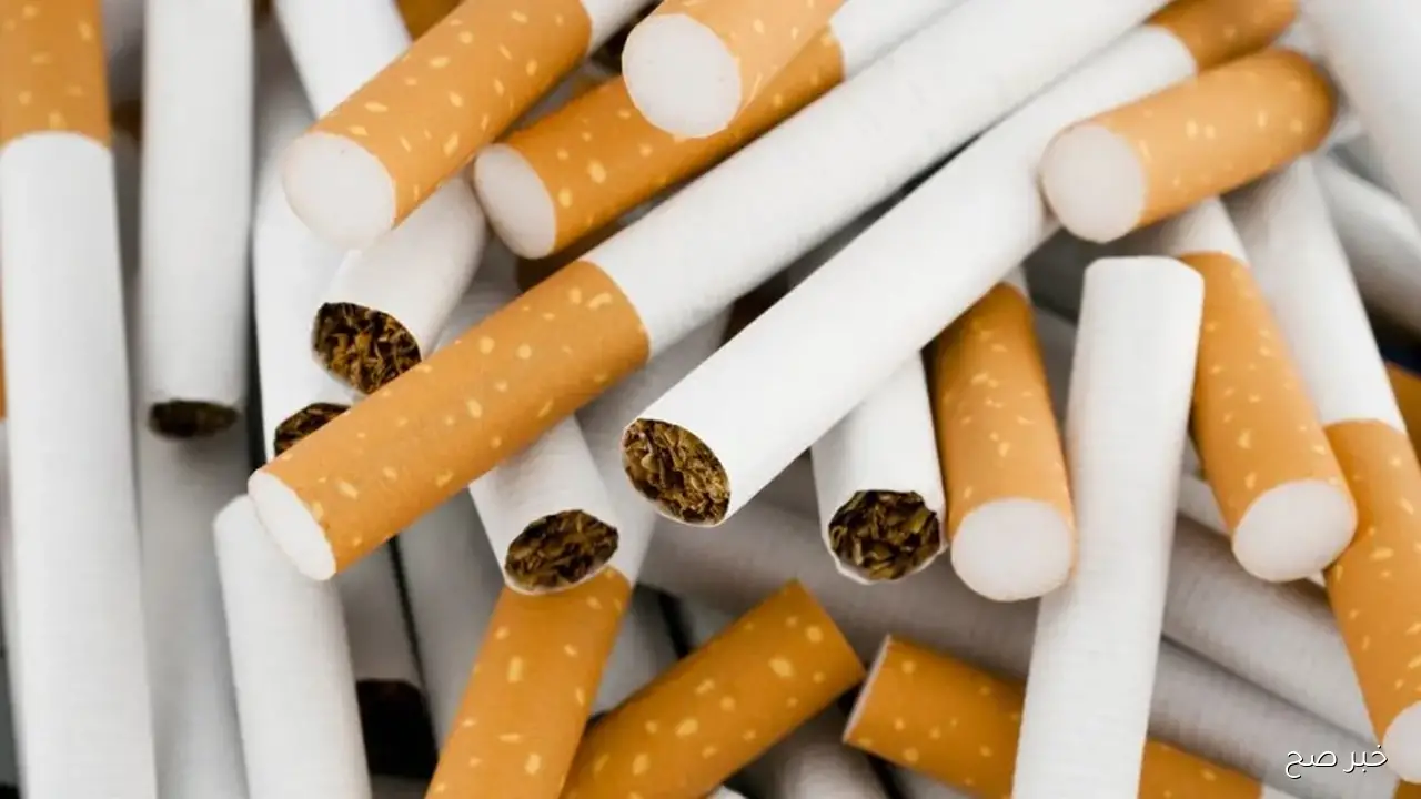 أسعار السجائر اليوم الثلاثاء 11 نوفمبر 2025 .. أحدث قائمة رسمية للسجائر المحلية والمستوردة والتبغ المسخن