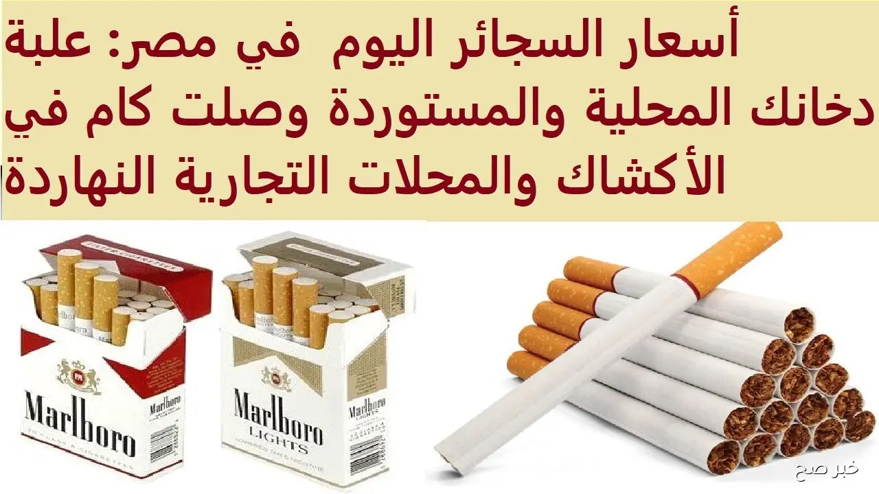 اسعار السجائر اليوم 11 نوفمبر 2025.. استقرار نسبي في السوق وسط رقابة مشددة