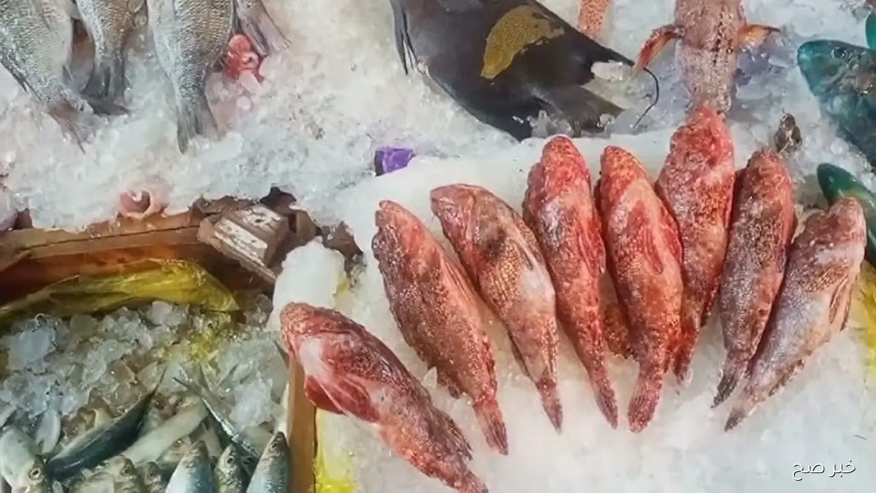 الجمبري بكام؟ .. اسعار السمك اليوم الخميس 13/11/2025 في سوق العبور اخر تحديث
