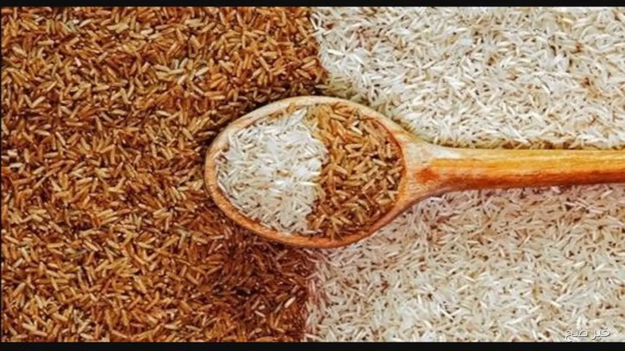 للتاجر والمستهلك .. سعر الارز الشعير اليوم في الاسواق المصرية