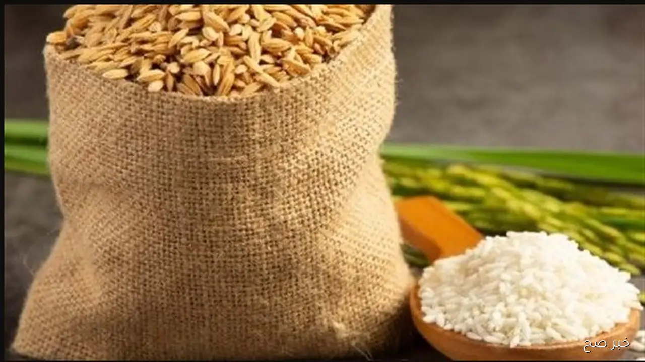 الشعيــر .. أستقر سعر طن الأرز الشعير اليوم الخميس 13-11-2025 في الاسواق