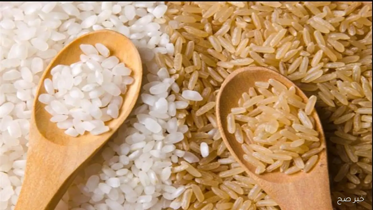 ’’تحليل شامل للشعيــر’’ سعر طن الأرز الشعير اليوم الاربعاء 12 نوفمبر 2025